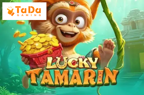 Lucky Tamarin